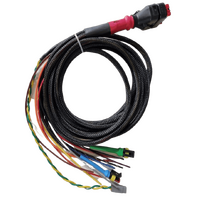 Wakespeed WS500 P-type wiring harness with CAN bus in harness