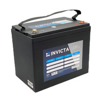 Invicta 12V 60Ah 1000CCA Hybrid 80DL Lithium Battery (SNLH80DL)